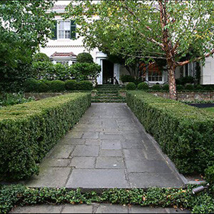 Hedges