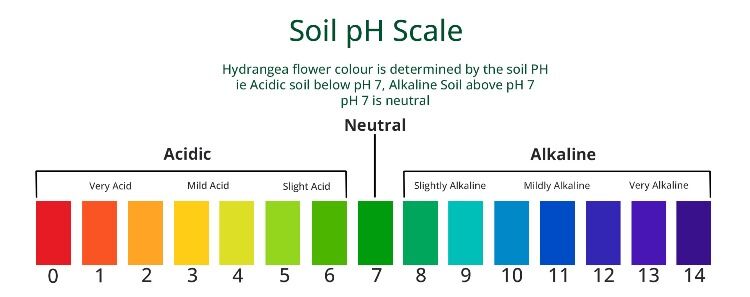 Whitehouse Nursery ph soil scale