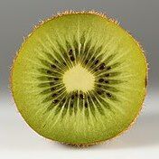 Kiwi Fruit  Actinidia deliciosa