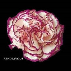 Rendezvous - Carnation