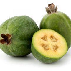 Feijoa sellowiana - Pineapple Guava